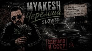 Песня Черемша | Cheremsha | Slowed