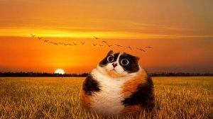 desktop goose 🪿