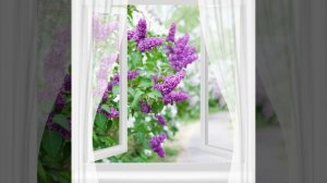 Александр Закшевский  сборник 1