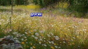 7 вещей ,которые нельзя делать при других.