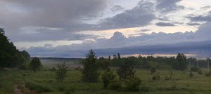 Трактор