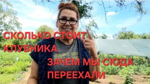 1258 Зачем мы Сюда Переехали? Сколько стоит клубника в нашей станице. Переехали из города в станицу
