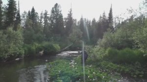 Охота и Рыбалка 2026 в Тайге ИЗБА ХАРИУС клюет КАЖДЫЙ ЗАБРОС Поплавок Обманка Тайга Сибирь 3 день1