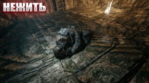 НЕЖИТЬ (98) | СТАЛКЕР НАРОДНАЯ СОЛЯНКА OGSR 2026