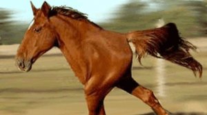 Ржач, ставлю Виталику дурацкий мат