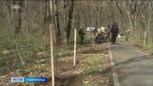 В Георгиевске высадили «Сад памяти»