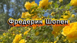 Фредерик Шопен, Баллада №4, классическая музыка