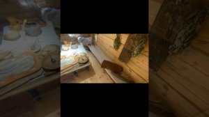 нижний новгород