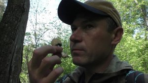 ЗАБЛУДИЛ В ДЕБРЯХ? Потерял любимый нож, но нашел ГОРЫ ГРИБОВ! 🍄🔪
