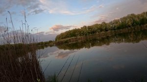 Флет кормушки в деле. Бешеный клев амура. 24.05.26