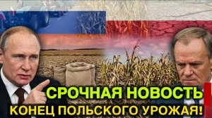 ВОТ И ВСЁ  ПРИКАЗ Vladimir Putin ЛИШИЛ ФЕРМЕРОВ Donald Tusk УДОБРЕНИЙ — ВАРШАВА В ЯРОСТИ