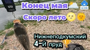 Рыбалка на карпа в конце мая. Ставропольский край. Нижнеподкумский четвёртый пруд🎣 🏆