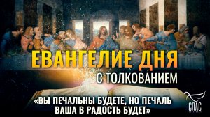 «Вы печальны будете, но печаль ваша в радость будет» / Евангелие дня