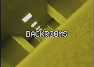 (VHS) The Backrooms Found Footage