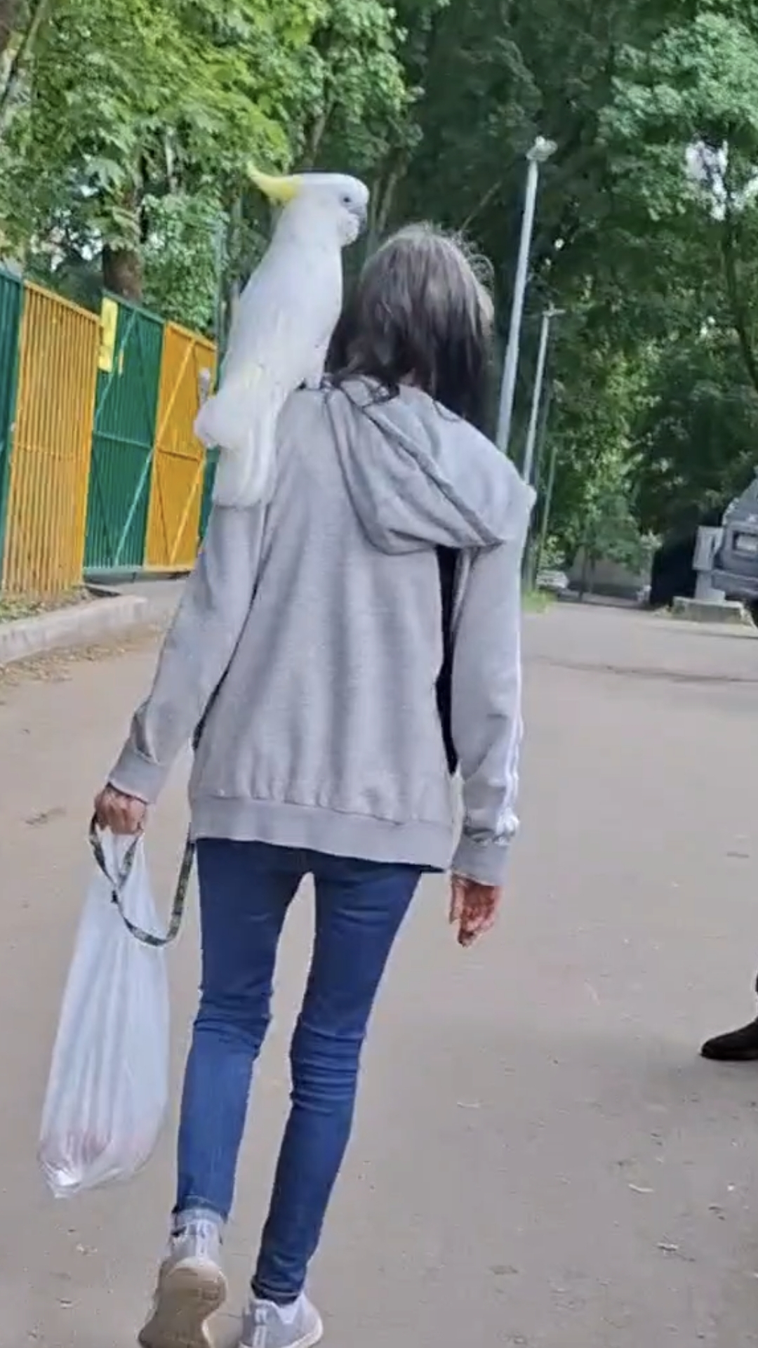 Джек Воробей отдыхает... #овполякова