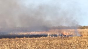 С начала сезона в Югре потушили около 40 ландшафтных пожаров