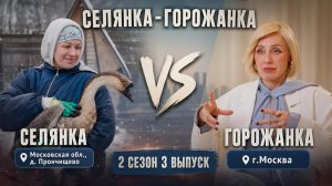 ОБЗОР СЕЛЯНКА - ГОРОЖАНКА 2 СЕЗОН 3 ВЫПУСК