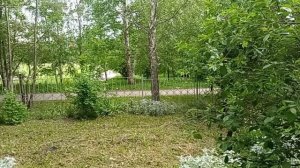 Обзор цветников у многоэтажки