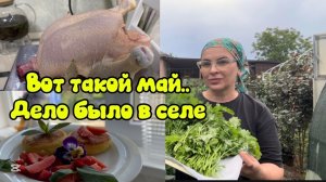 🩷Между дождичком в четверг/ Первый пошёл.