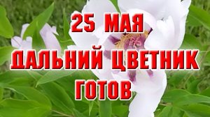 25 мая. Дальняя клумба готова,что у меня там растет