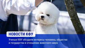 Ученые КФУ обсудили интересы человека, общества и государства в отношении животного мира