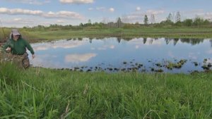 ловля Щук в пруду на различные приманки. ультралайт. часть первая