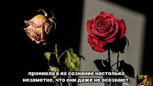 ЮНГ РАЗРУШИЛ МИФ — Одиночество после 50 НАЧАЛО великой ЛЮБВИ