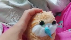 У меня новый котик! 🐱 Он рыжий)♥️ очень миленький! 😍😍🥰 Отличный подарок!!) советую! 👍Понравился