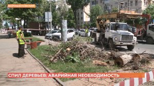 Больше сотни деревьев спилили на  Ворошиловском проспекте в Ростове