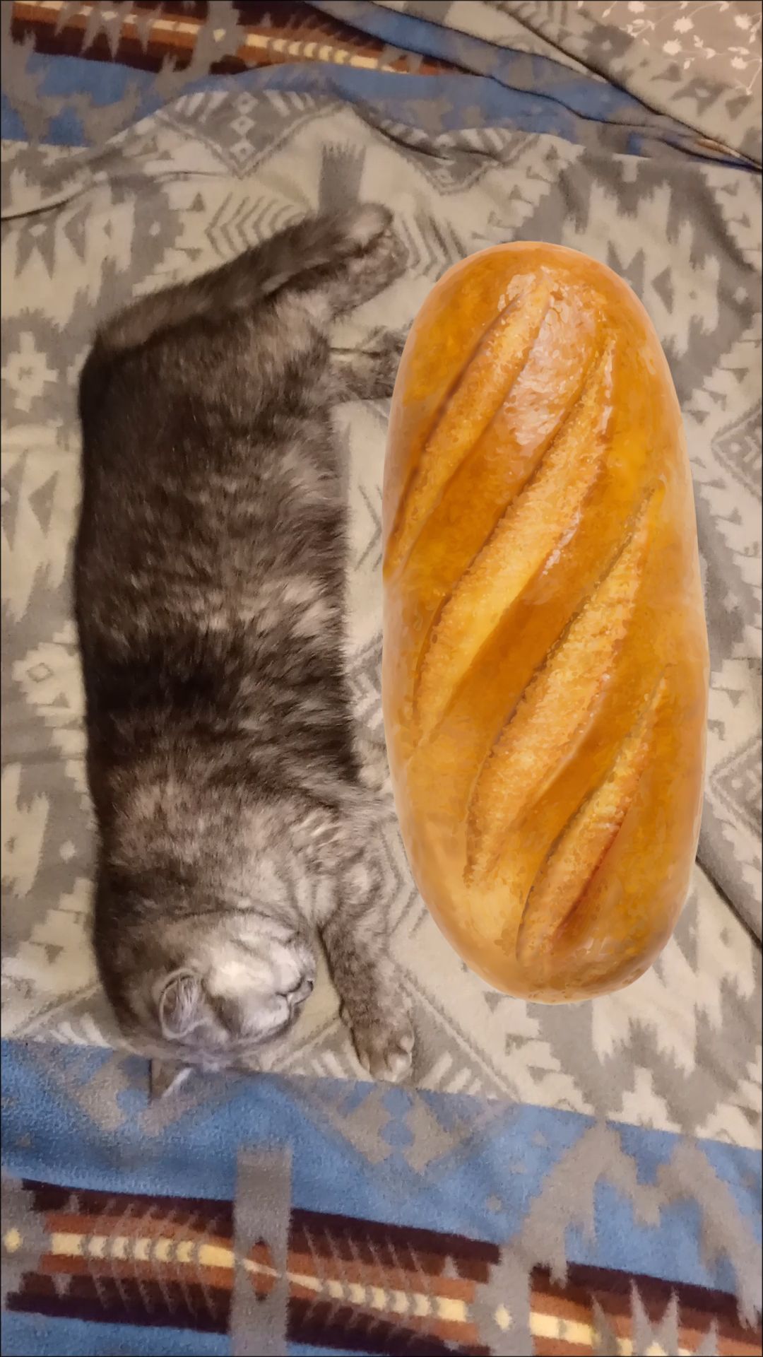 "Режим 'батон' включен на весь день"🥖🥖🥖