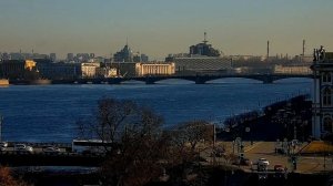 ТАЙГА.  НЕЧТО ВЫШЛО ИЗ ТУМАНА В ЛЕСУ. СТРАШНЫЕ. МИСТИЧЕСКИЕ. ИЗ ЖИЗНИ.