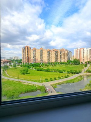внешний мир и интересные факты ❤