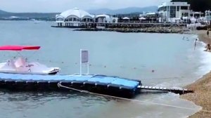На берегу моря