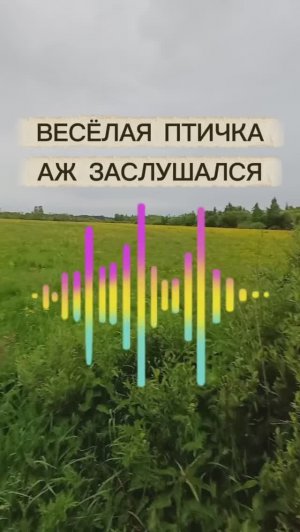 Весёлая птичка, заслушался 🦜