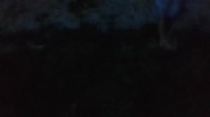 1049.mp4