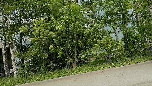 Наша стоматология в конце видео