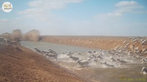Приоткрывая заповедные двери… В движении