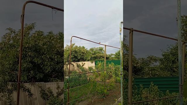 1000105015.mp4по холодку за работку