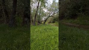 Друзья Как Здесь Хорошо Жить Хочется 100 лет