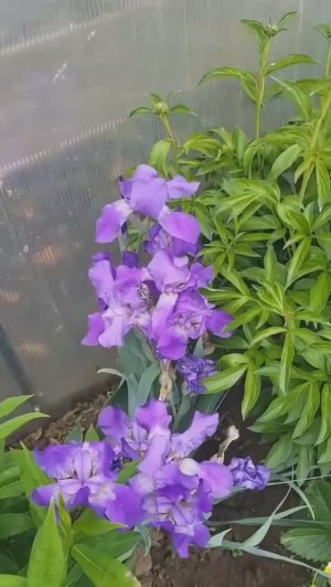 Резкие перемены..