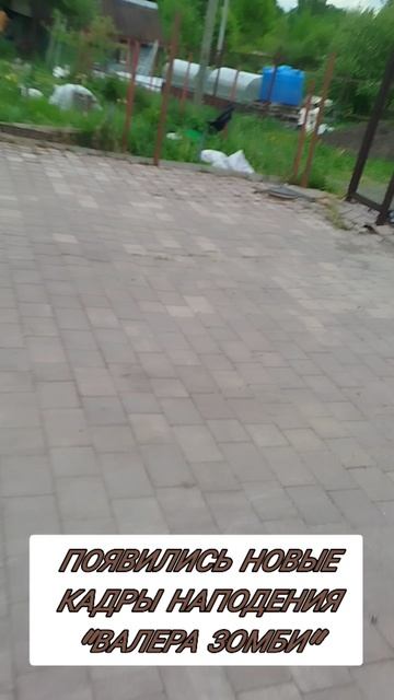 началось распространение Валера-вируса
