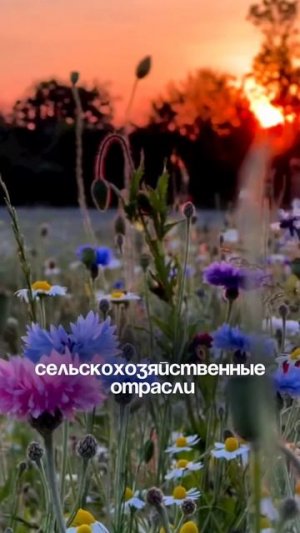 Телец - какая работа выберет тебя?