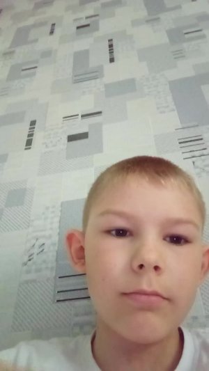 развиваем популяцию уток