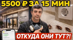 НОВОСТРОЙКА. И тараканы | Заработал 5500 ₽ за 15 минут | Бизнес на дезинфекции