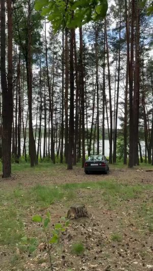 чаепитие на одиноком озере ☕️ беларусь. ружаны. озеро паперня #философияодного