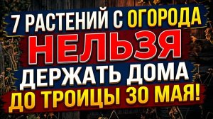 7 растений с огорода, которые НЕЛЬЗЯ держать дома до Троицы 30 мая! Народные приметы