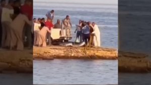 В Египте отменили все морские экскурсии после нашествия акул у пляжей Хургады и Шарм-эль-Шейха