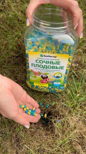 Весенний уход за плодовыми