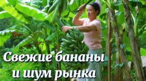 Свежие бананы и шум рынка — а день завершается мирно, в обществе животных