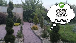 ПЫТАЮСЬ ОФОРМИТЬ ДОГОВОР СО СДЕК. НЕУЖЕЛИ РАЗВОДИЛОВО? 🤦 26-05-2026